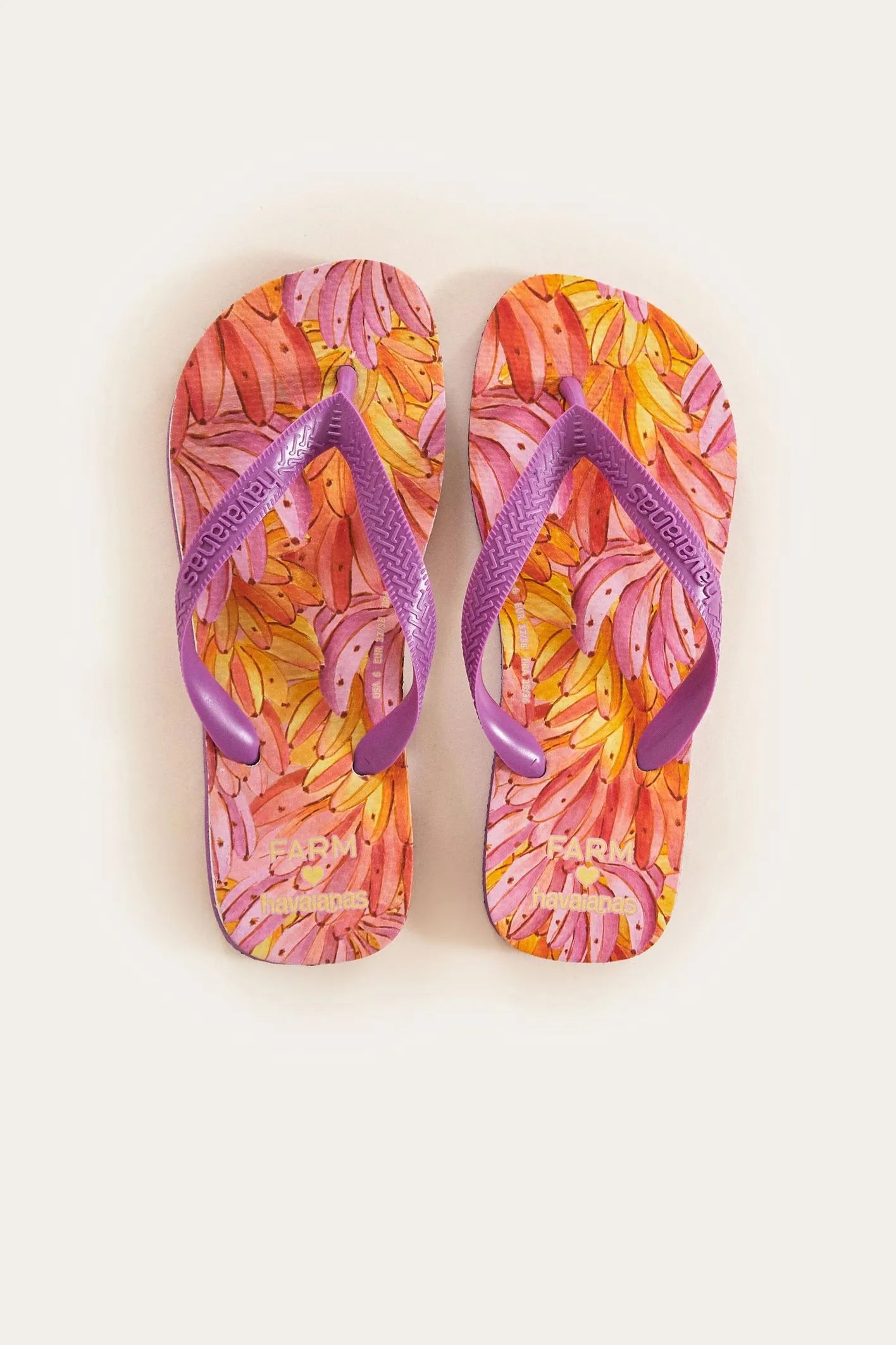 Chinelo Jardim de Porcelana